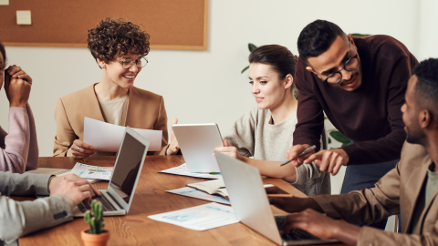 meeting - viewing report